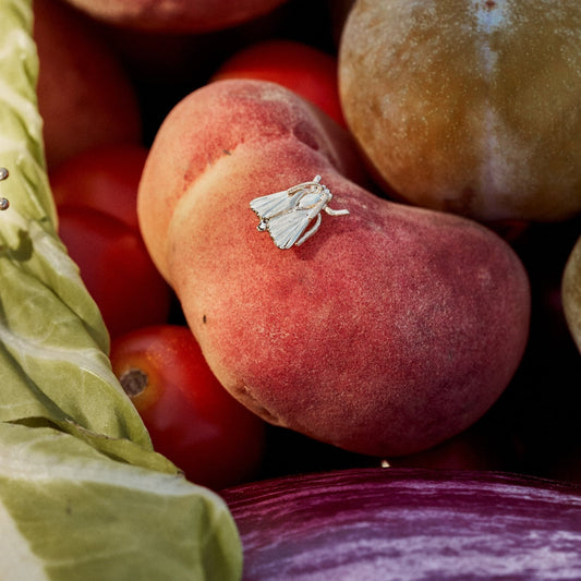 Pin Moth, pin de oro macizo de 9k con forma de polilla. En la imagen aparece en un cesto de fruta, posado sobre una paraguaya.